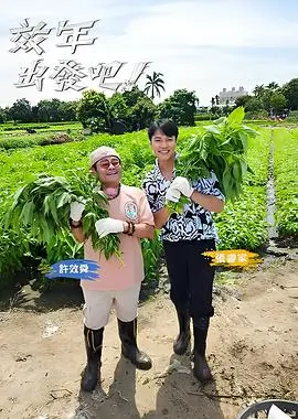声浪计划 音乐综艺在线观看